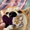 eBook: Snack & hund