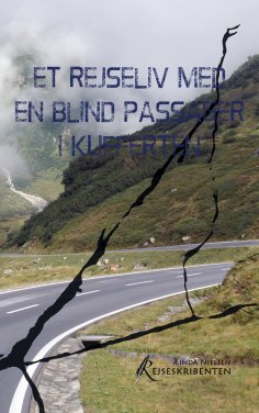 eBook: Et rejseliv med en blind passager i kufferten