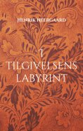 eBook: I tilgivelsens labyrint