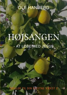 eBook: Nøgler til din kristne vækst