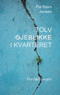 eBook: Tolv øjeblikke i kvarteret