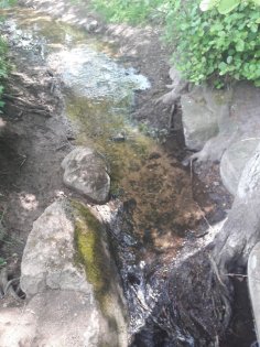 eBook: Lær om kost, massage på zoner og punkter