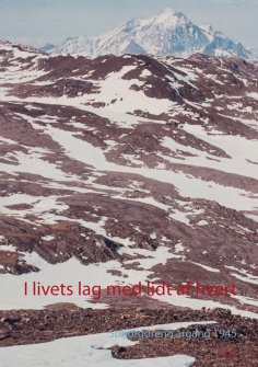 ebook: I livets lag med lidt af hvert