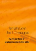 ebook: Ny oversættelse af søndagens epistel eller lektie
