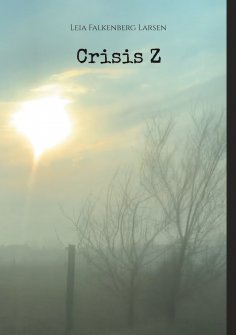 eBook: Crisis Z