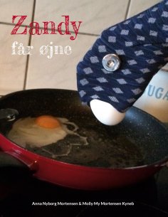 eBook: Zandy får øjne