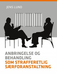 eBook: Anbringelse og behandling som strafferetlig særforanstaltning