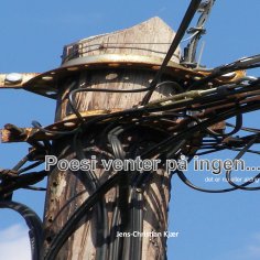 ebook: Poesien venter på ingen
