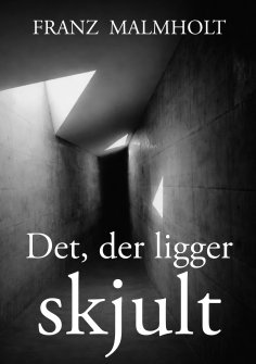 ebook: Det der ligger skjult