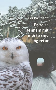 ebook: En rejse gennem mit mørke sind og retur