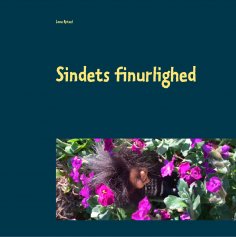 eBook: Sindets finurlighed