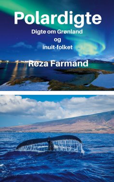 ebook: Polardigte