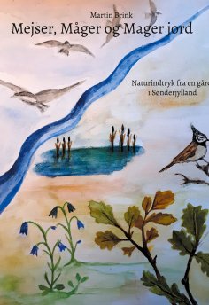 eBook: Mejser, Måger og Mager jord