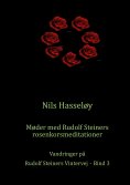 ebook: Møder med Rudolf Steiners rosenkorsmeditationer