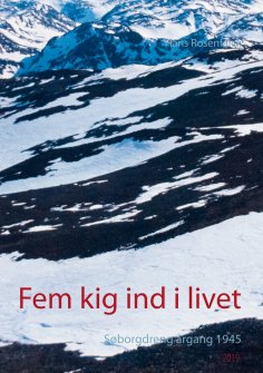 ebook: Fem kig ind i livet