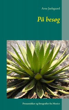 eBook: På besøg