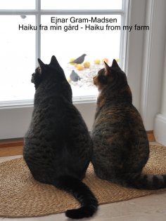 eBook: Haiku fra min gård - Haiku from my farm