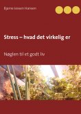 ebook: Stress – hvad det virkelig er