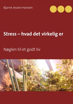 eBook: Stress – hvad det virkelig er