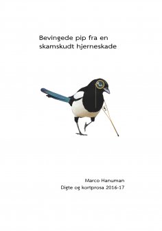 eBook: Bevingede pip fra en skamskudt hjerneskade