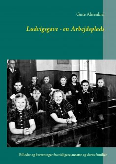 eBook: Ludvigsgave - en Arbejdsplads