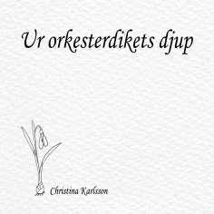 eBook: Ur orkesterdikets djup