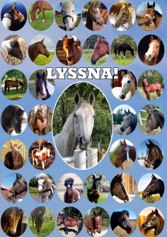 ebook: Lyssna!