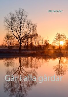 eBook: Går i alla gårdar