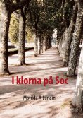 eBook: I klorna på Soc