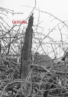 eBook: Gråtider