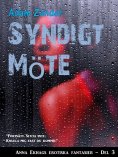 eBook: Syndigt Möte