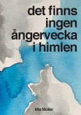 ebook: Det finns ingen ångervecka i himlen
