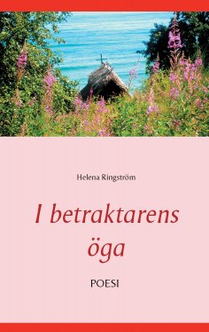 eBook: I betraktarens öga