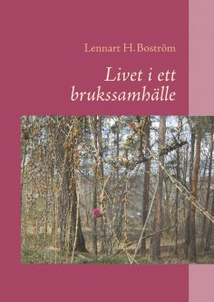 eBook: Livet i ett brukssamhälle