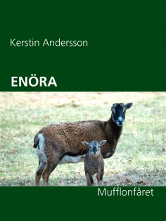 ebook: ENÖRA