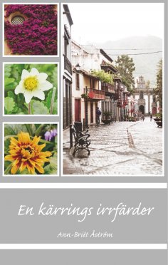 ebook: En kärrings irrfärder