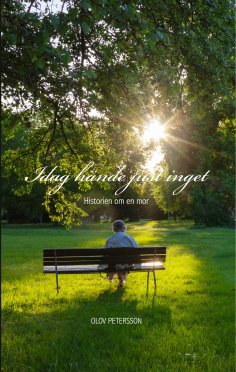ebook: Idag hände just inget