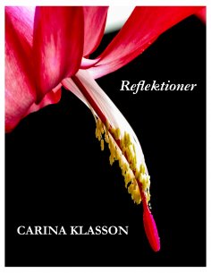 eBook: Reflektioner