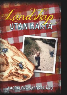 ebook: Landskap utan karta