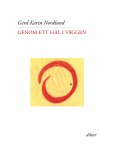 eBook: Genom ett hål i väggen