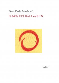 eBook: Genom ett hål i väggen