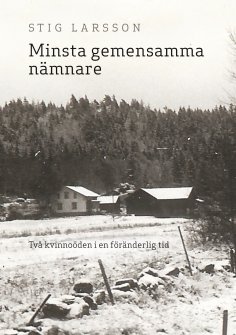 eBook: Minsta gemensamma nämnare