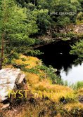 ebook: TYST SANNING