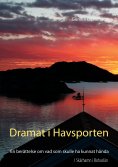 eBook: Dramat i Havsporten