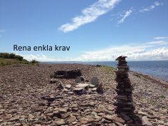 eBook: Rena enkla krav