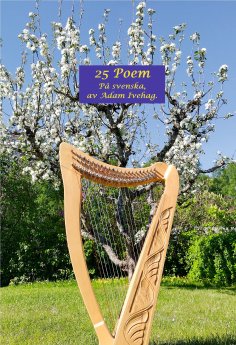 eBook: 25 Poem