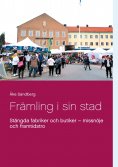 eBook: Främling i sin stad
