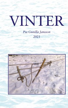 eBook: Vinter