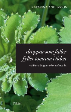 eBook: Droppar som faller fyller tomrum i tiden