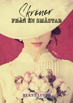 eBook: Skrönor från en småstad